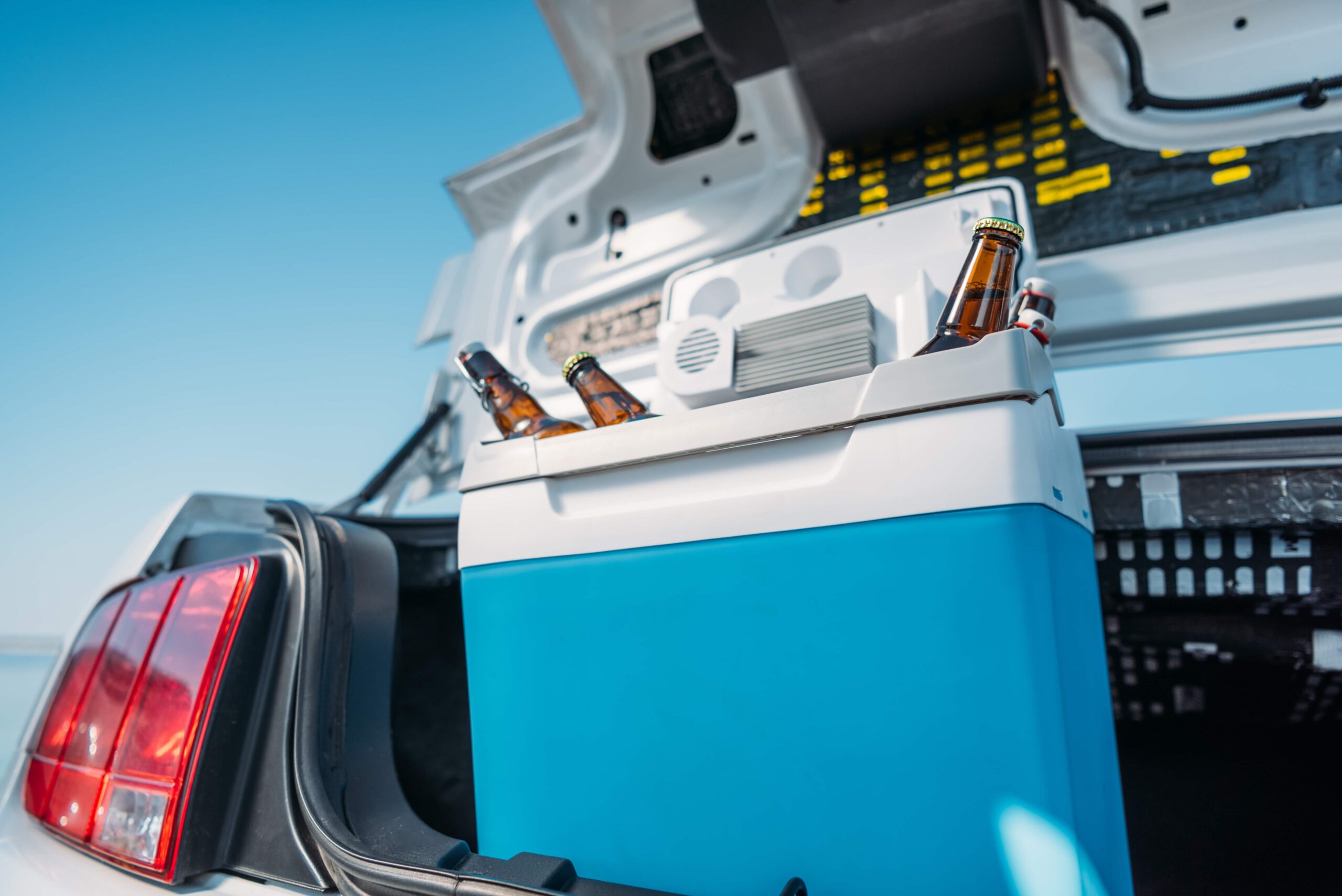 close-up-view-of-portable-fridge-with-beer-standin-2024-11-19-00-06-53-utc-min