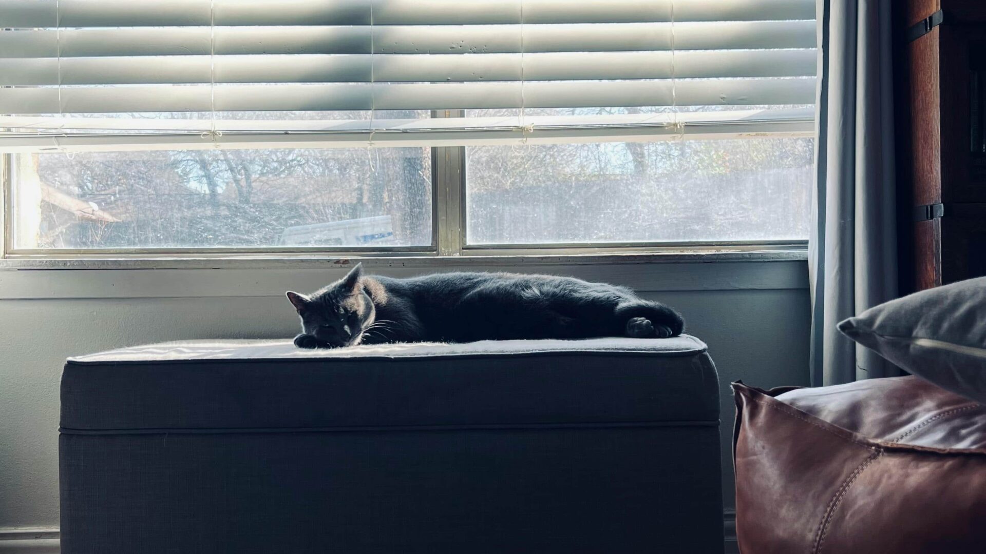 Kuidas voldikruloo parandab interjööri ja päikesekaitset (1)